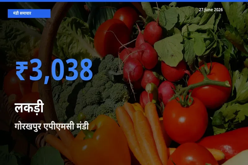 27 June अपडेट: लकड़ी के सबसे ऊँचे दाम गोरखपुर एपीएमसी मंडी में