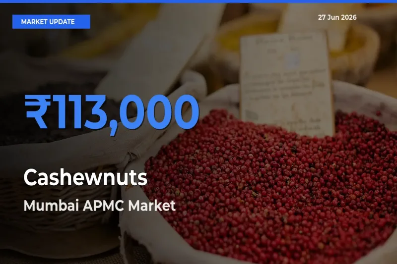 Market Watch: Mumbai APMC Becomes Top Mandi for Cashewnuts