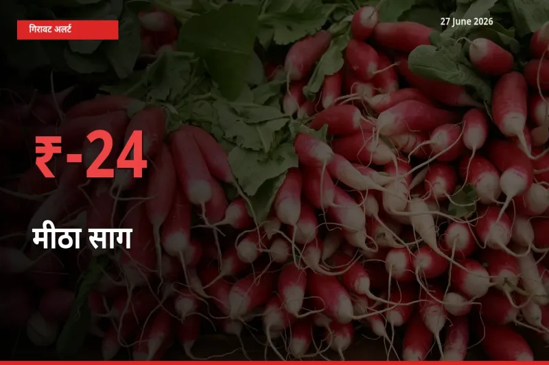 आज का मंडी भाव: मीठा साग के दाम मंडी में 24.37% नीचे