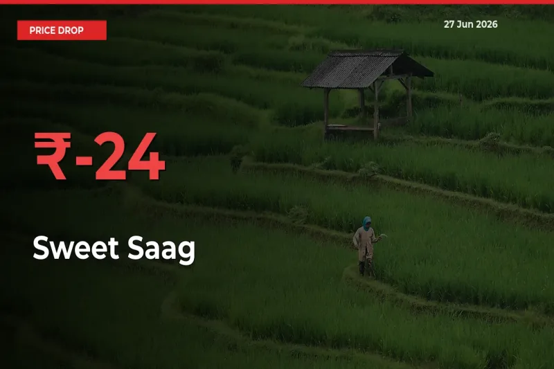 Sweet Saag Prices Drop 24.37% in 24 Hours at Major Mandis