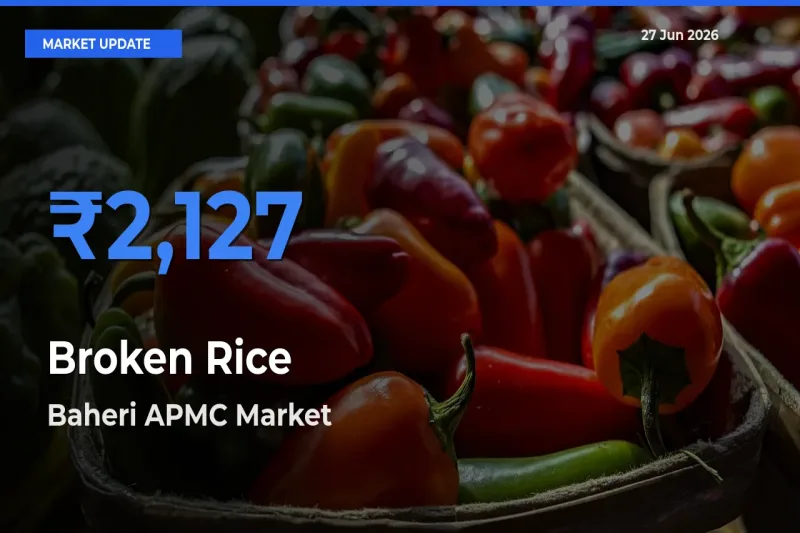 Baheri APMC Leads as Top Mandi for Broken Rice Prices