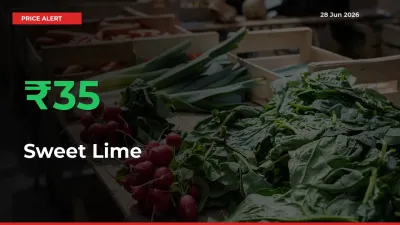 Sudden 35.16% Rally in Sweet Lime Prices Across Mandis