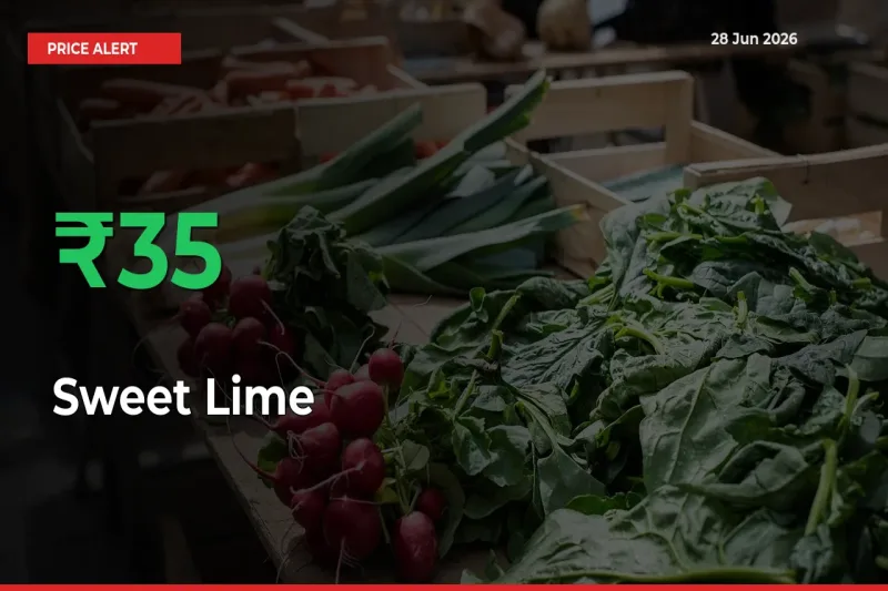 Sudden 35.16% Rally in Sweet Lime Prices Across Mandis
