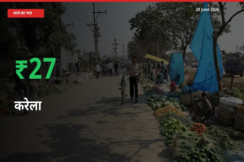 स्थानीय मंडी में करेला के दाम अचानक 27.04% उछले, किसान सतर्क