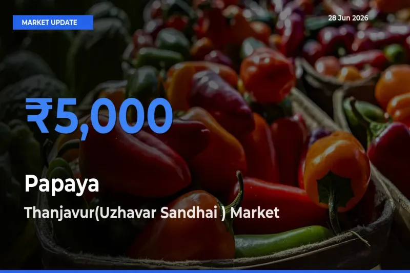 Top Performer! Thanjavur(Uzhavar Sandhai ) Offers Best Papaya Price Today