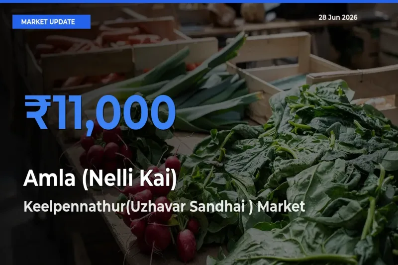 Amla (Nelli Kai) Mandi Rate Today: Keelpennathur(Uzhavar Sandhai ) Tops the List