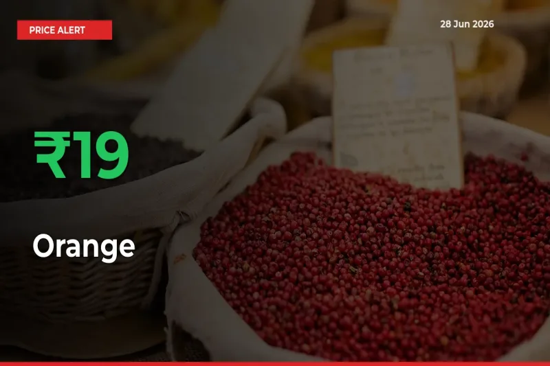 Farmers Cheer as Orange Prices Surge 19.22% in Local Mandis
