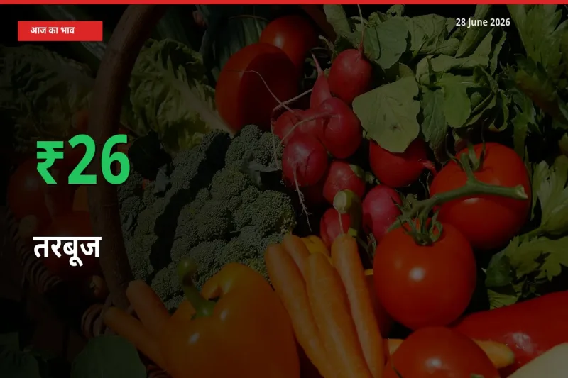 स्थानीय मंडी में तरबूज के दाम अचानक 26.13% उछले, किसान सतर्क
