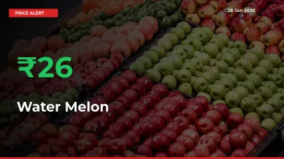 Sudden 26.13% Rally in Water Melon Prices Across Mandis