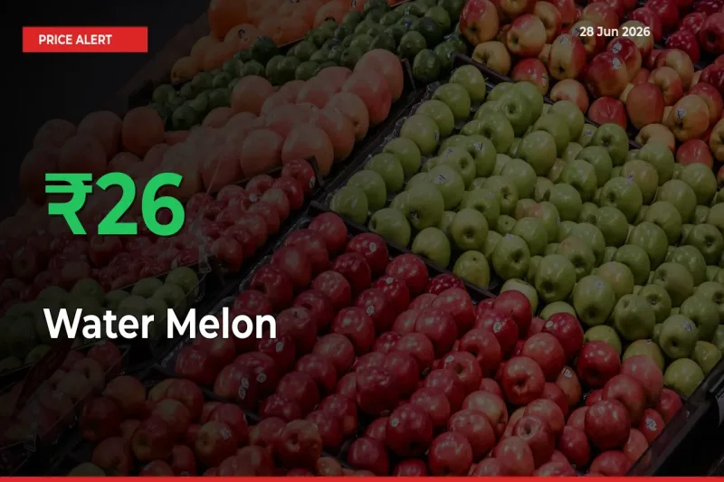 Sudden 26.13% Rally in Water Melon Prices Across Mandis