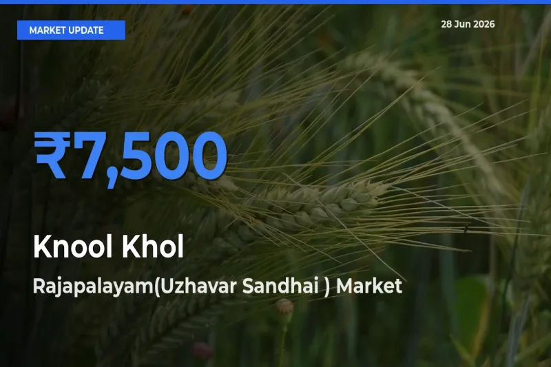 Top Performer! Rajapalayam(Uzhavar Sandhai ) Offers Best Knool Khol Price Today