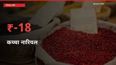 18.45% की गिरावट! मंडी में कच्चा नारियल के दाम अचानक टूटे