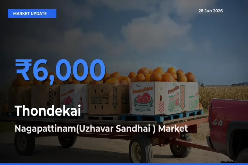Top Performer! Nagapattinam(Uzhavar Sandhai ) Offers Best Thondekai Price Today