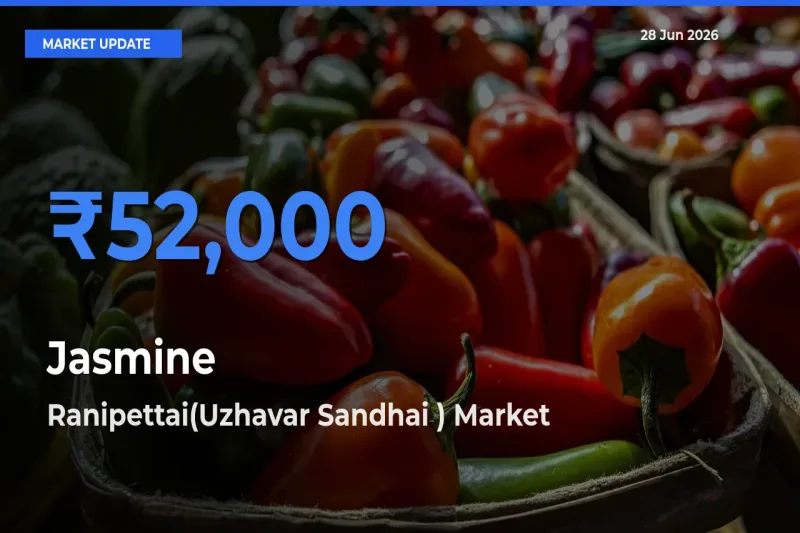 Ranipettai(Uzhavar Sandhai ) Tops Jasmine Rates – June 28 Market Update