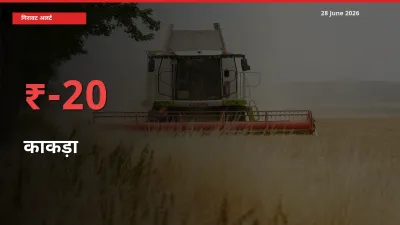 स्थानीय मंडी में काकड़ा के दाम अचानक 19.78% गिरे, किसानों की चिंता बढ़ी