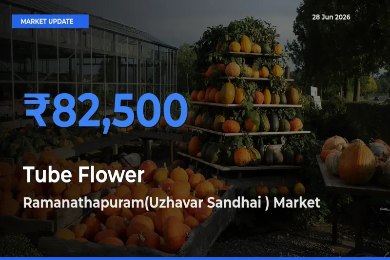 Ramanathapuram(Uzhavar Sandhai ) Emerges as Top Mandi for Tube Flower Prices Today