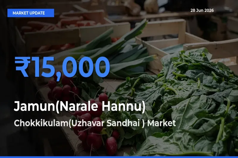 Chokkikulam(Uzhavar Sandhai ) Tops Jamun(Narale Hannu) Mandi Rates Today