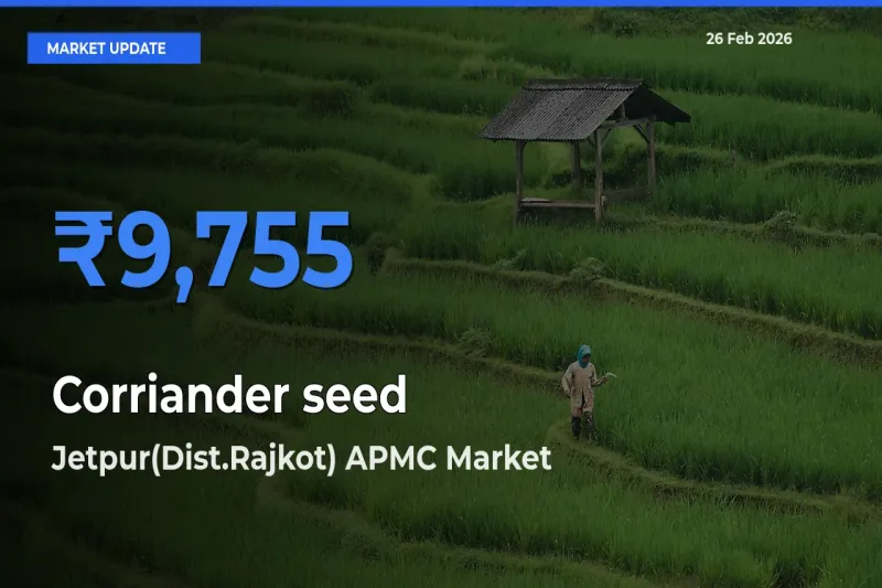 Jetpur(Dist.Rajkot) APMC Leads as Top Mandi for Corriander seed Prices
