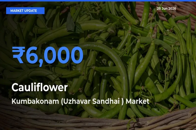 Market Watch: Kumbakonam (Uzhavar Sandhai ) Becomes Top Mandi for Cauliflower