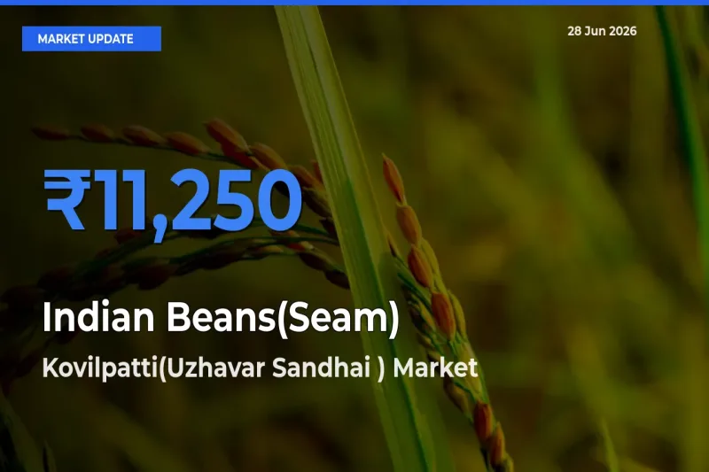 Top Performer! Kovilpatti(Uzhavar Sandhai ) Offers Best Indian Beans(Seam) Price Today