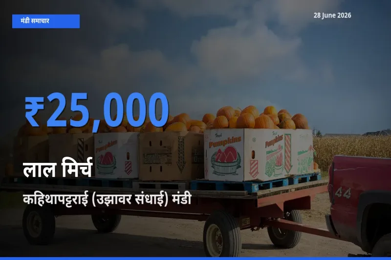 28 June अपडेट: लाल मिर्च के सबसे ऊँचे दाम कहिथापट्टराई (उझावर संधाई) मंडी में