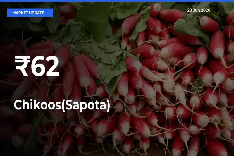 Chikoos(Sapota) Mandi Trend Today: Prices Shift Across Multiple Markets
