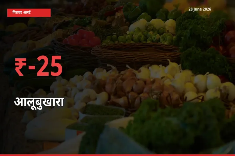 आलूबुखारा 24.62% गिरा, मंडी
