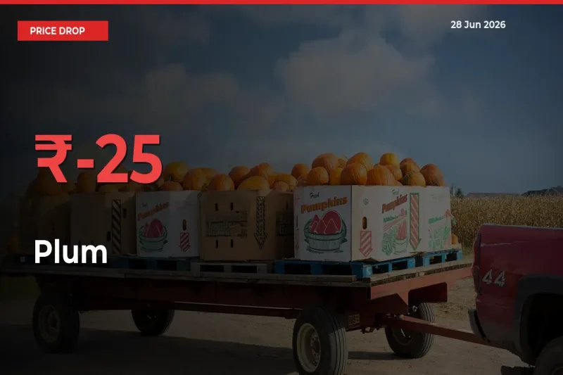 This Mandi Records 24.62% Fall in Plum Prices