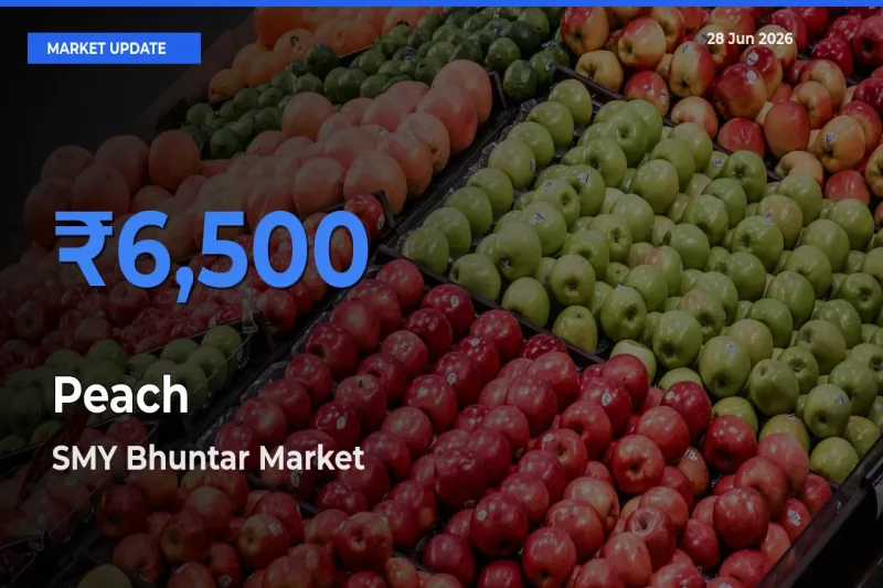 Market Watch: SMY Bhuntar Becomes Top Mandi for Peach