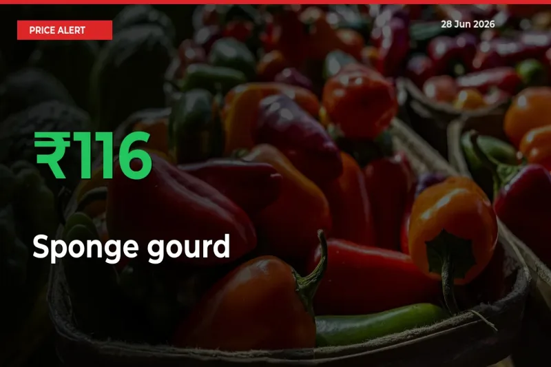 Sponge gourd Rises 116.28% at Mandis