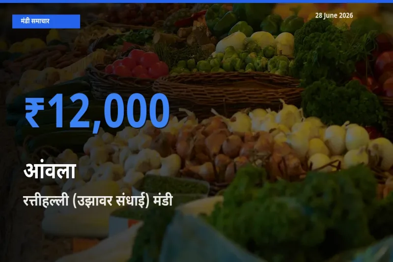 रत्तीहल्ली (उझावर संधाई) में आंवला का आज सबसे ऊँचा भाव