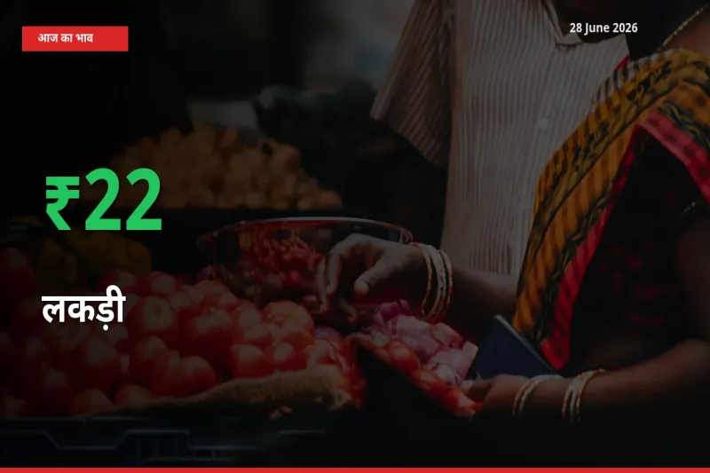 लकड़ी 22.24% उछला, मंडी