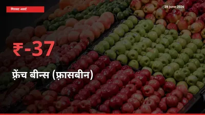 फ़्रेंच बीन्स (फ़्रासबीन) के दाम प्रमुख मंडी में 36.53% गिरे, 24 घंटे में बड़ा बदलाव