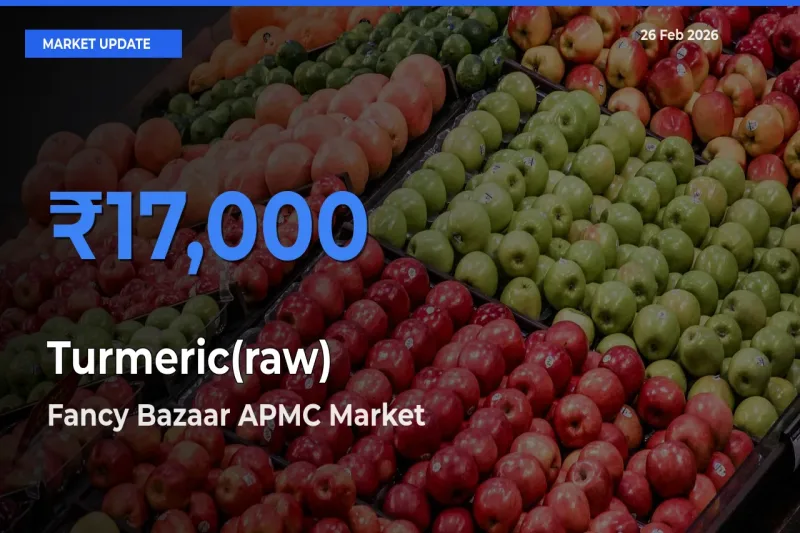 Fancy Bazaar APMC Emerges as Top Mandi for Turmeric(raw) Prices Today