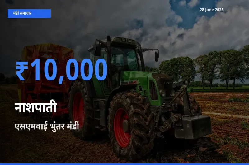 एसएमवाई भुंतर मंडी में नाशपाती ₹10,000 पर पहुँचा – आज का सर्वोच्च भाव
