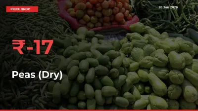 This Mandi Records 16.69% Fall in Peas (Dry) Prices