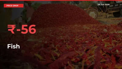 This Mandi Records 56.09% Fall in Fish Prices