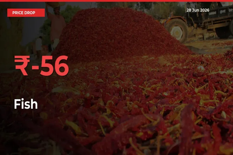 This Mandi Records 56.09% Fall in Fish Prices