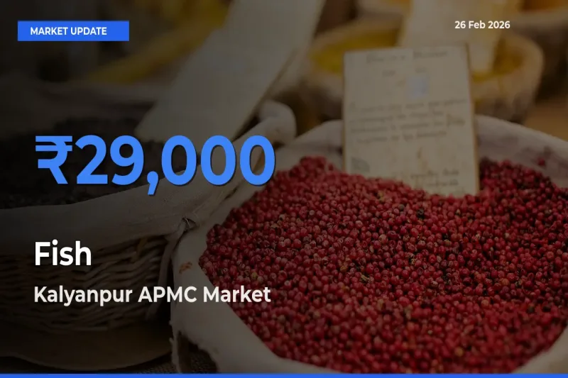 Farmers Prefer Kalyanpur APMC as Fish Hits Highest Rate
