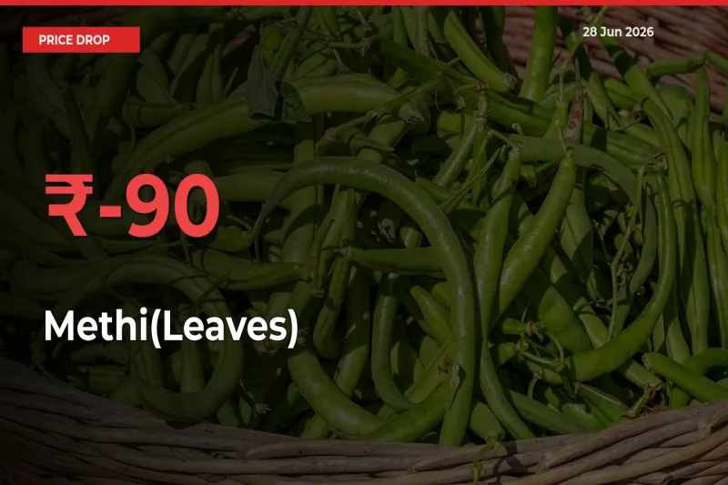 Farmers Alert as Methi(Leaves) Prices Slide 89.56% in Local Mandis
