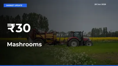Mashrooms Rates Show Broad Movement Across 30+ Mandis