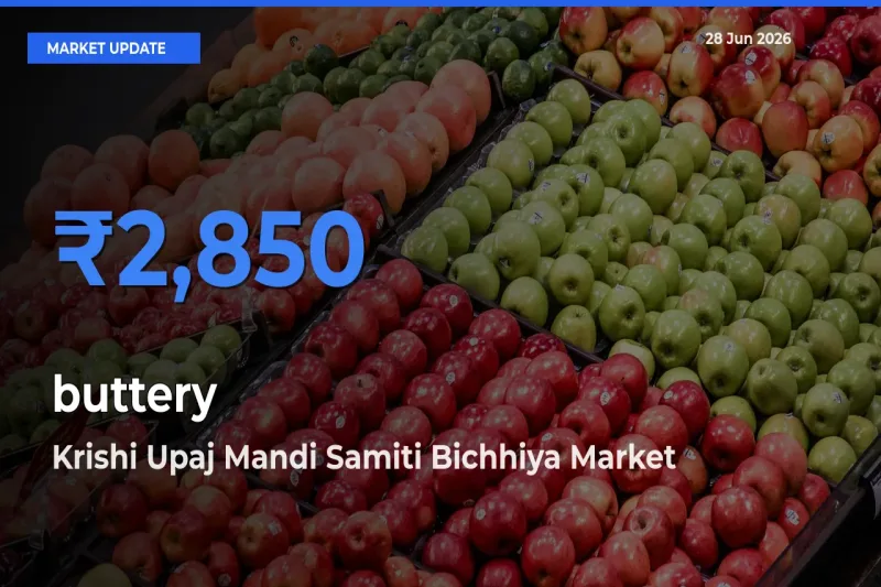 Krishi Upaj Mandi Samiti Bichhiya Records Highest ₹2,850 Rate for buttery