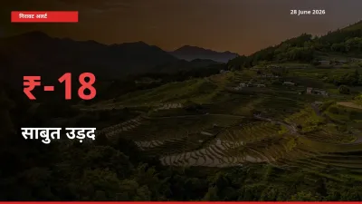 स्थानीय मंडी में साबुत उड़द के दाम अचानक 17.76% गिरे, किसानों की चिंता बढ़ी