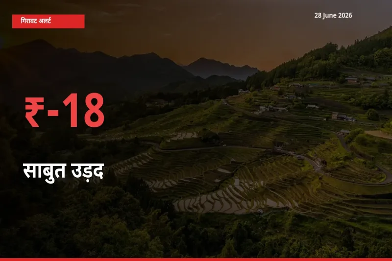 स्थानीय मंडी में साबुत उड़द के दाम अचानक 17.76% गिरे, किसानों की चिंता बढ़ी