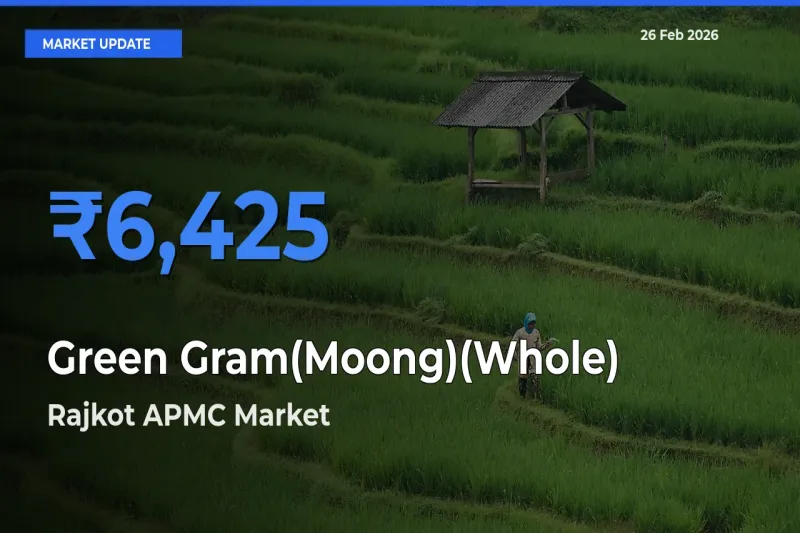 Rajkot APMC Tops Green Gram(Moong)(Whole) Rates – February 26 Market Update