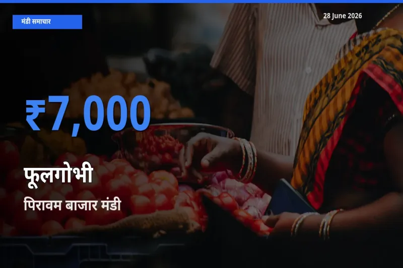 28 June अपडेट: फूलगोभी के सबसे ऊँचे दाम पिरावम बाजार मंडी में