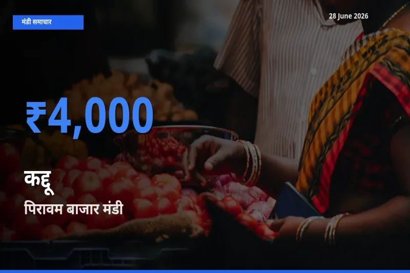 पिरावम बाजार में कद्दू का आज सबसे ऊँचा भाव