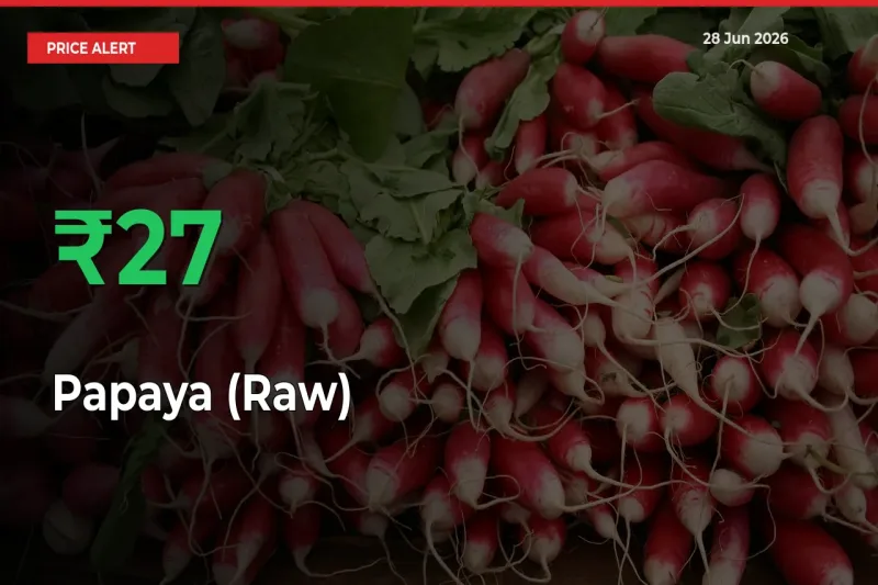Papaya (Raw) Mandi Rate Today: Prices Jump 26.71% at Market