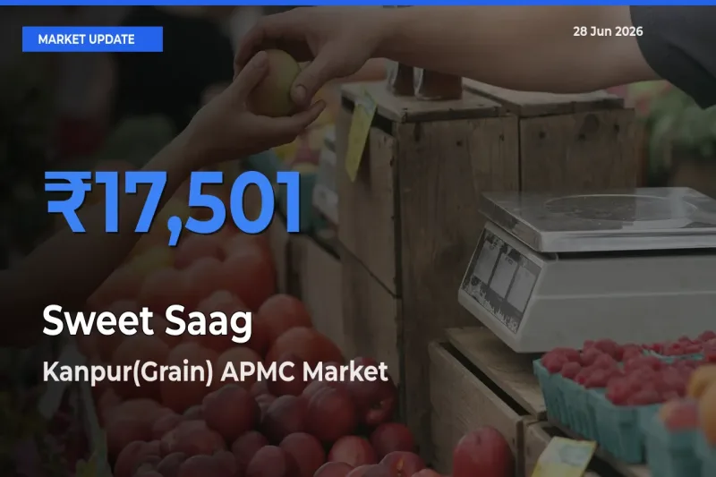 Market Watch: Kanpur(Grain) APMC Becomes Top Mandi for Sweet Saag