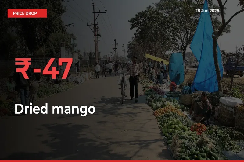 47.16% Drop in Dried mango Prices – Mandi Sees Sudden Fall